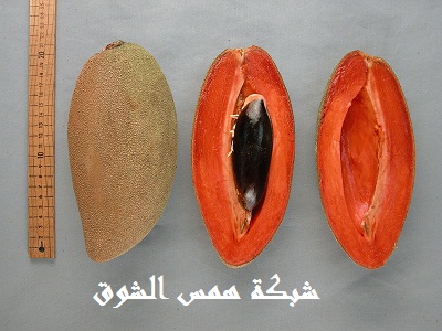 Mamey do.php?img=11243