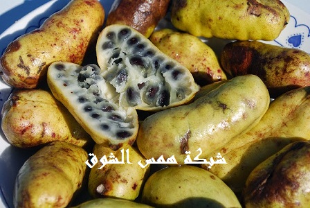  Zabala
