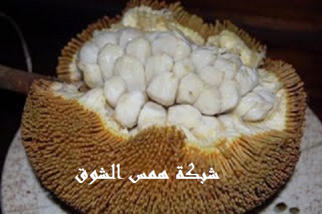   Talap Tarap