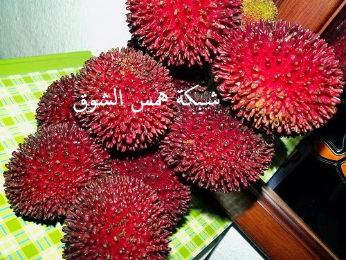   pulasan