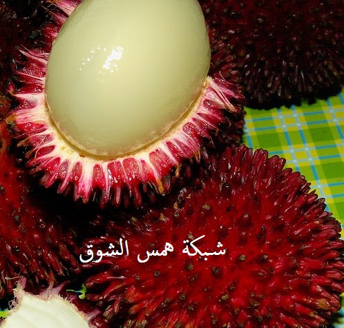   pulasan