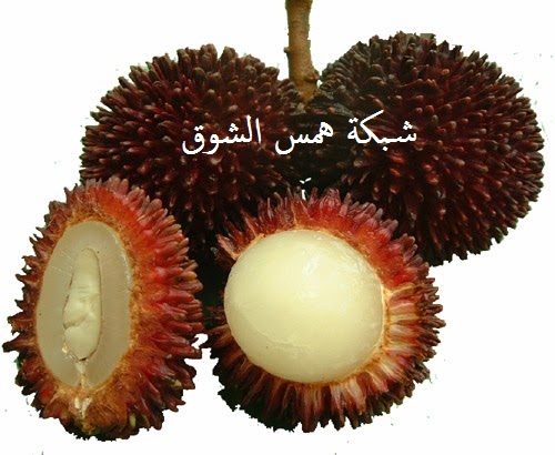   pulasan