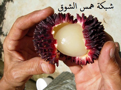   pulasan