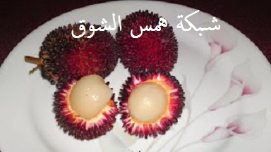   pulasan