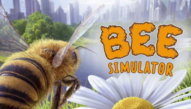 Simulator video game