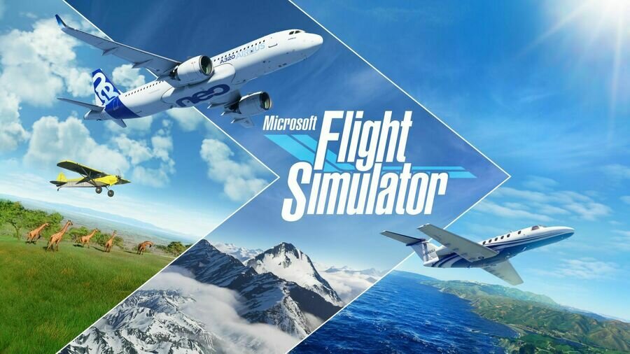 Flight Simulator video game
