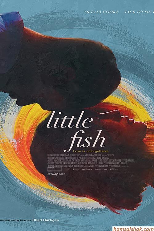  Little Fish